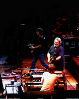 Grateful Dead - March 24, 1988