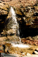 Hawk's Nest State Park - March 19, 1985